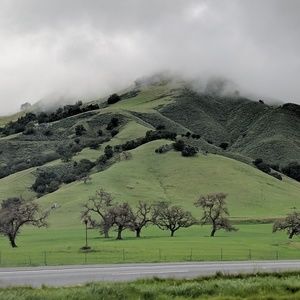 Meet your Posher, Mariya